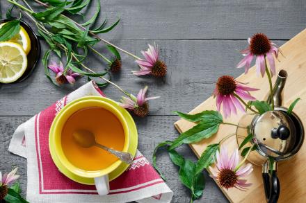 Echinacea