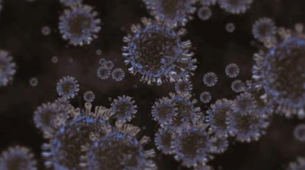 Koronavírus szürke