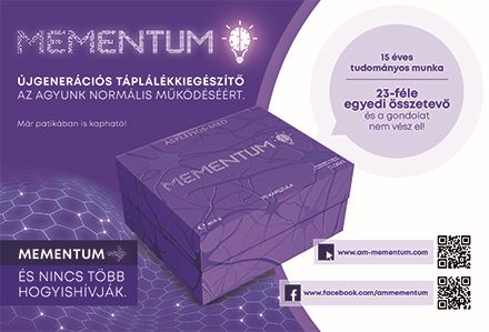 Mementum2