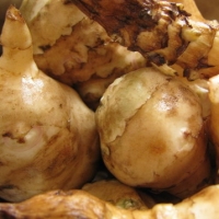 csicsoka