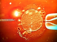 mesterséges megtermékenyítés, embrió