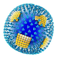 influenza vírus