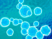 nanotecnológia, gyógyszerrezisztens baktériuomok nanotecnológia, gyógyszerrezisztens baktériuomok