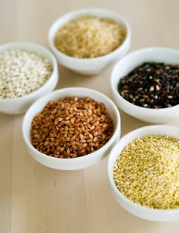 növényi rost növényi rost