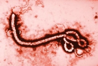 Ebola