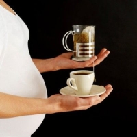 terhesség, koffein