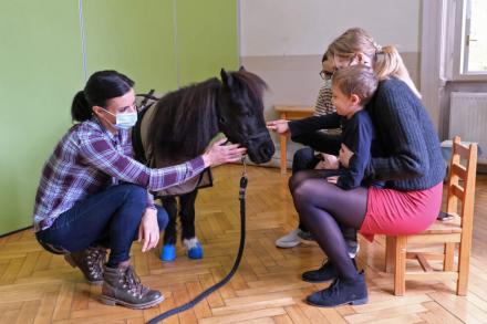 Miniló-terápia és korai fejlesztés